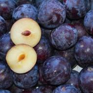 Саженец слива Блэк Стар (диплоидная) в контейнере